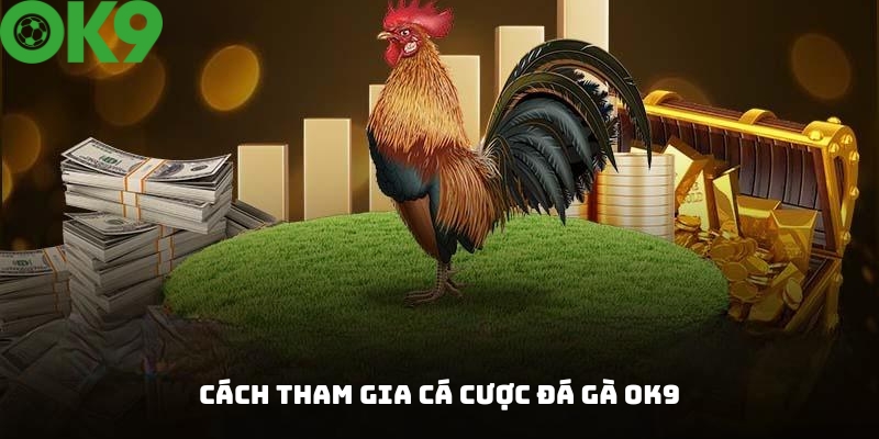 Hướng dẫn cách tham gia cá cược đá gà tại OK9 Hướng dẫn cách tham gia cá cược đá gà tại OK9